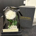 Ever Rose – White Preserved Rose in Glass Dome (Small)