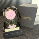 Ever Rose – Pink Preserved Rose in Glass Dome (Small)