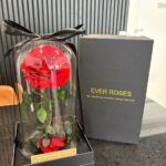 Ever Rose – Red Preserved Rose in Glass Dome (Large)