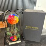 Ever Rose – Rainbow Preserved Rose in Glass Dome (Large)