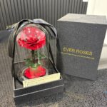 Ever Rose – Red Preserved Rose in Glass Dome (Small)