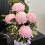 Box Pink Disbud Arrangement – Fresh Flowers