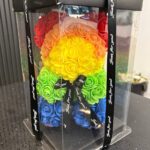 Rainbow Rose Teddy – Colourful Joy
